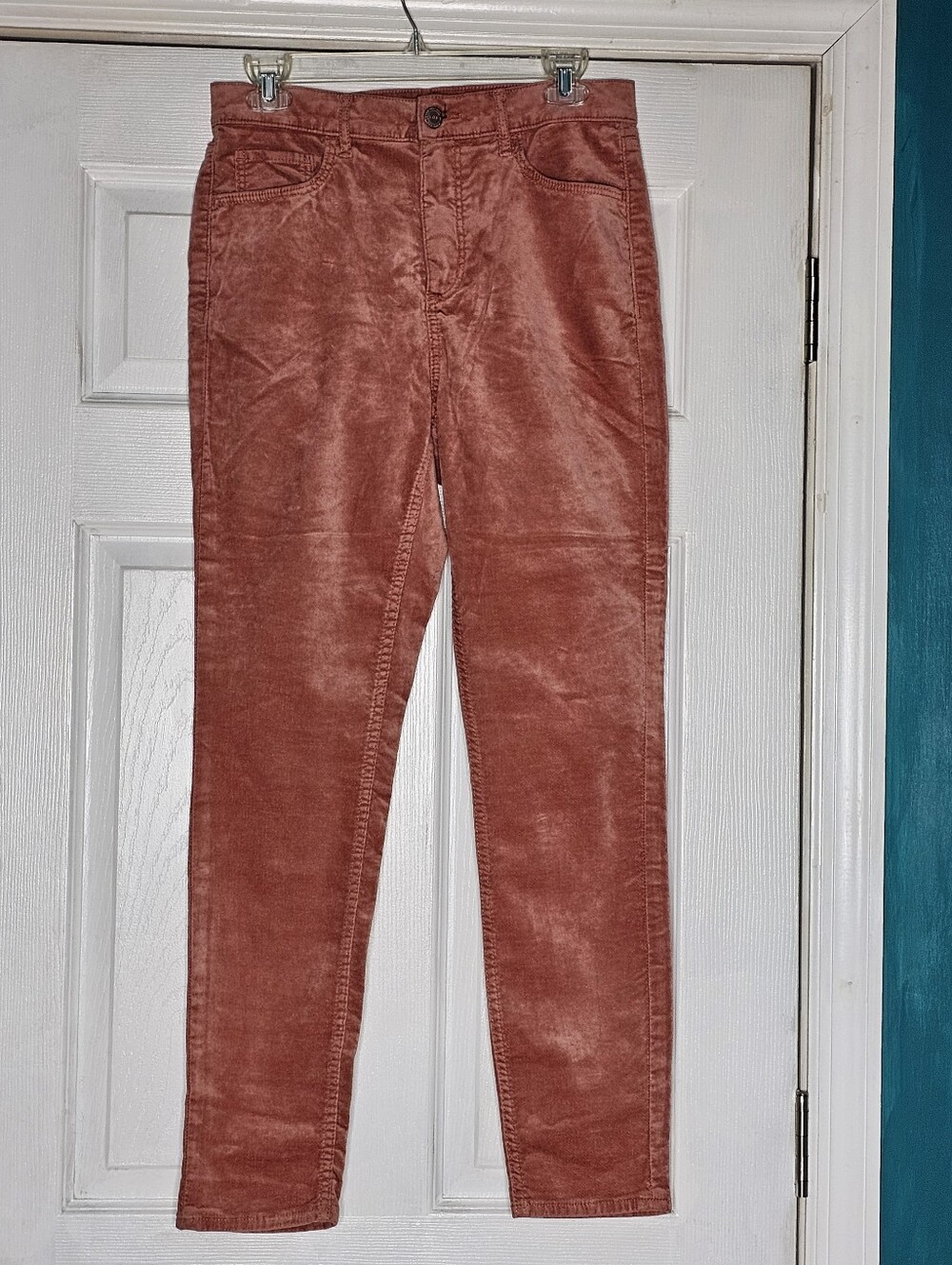 LOFT Dusty Rose Velvet Pants Suze 6 NWT